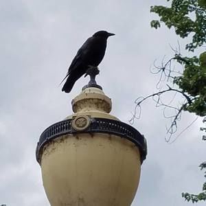 Meet your Posher, Kimberlee